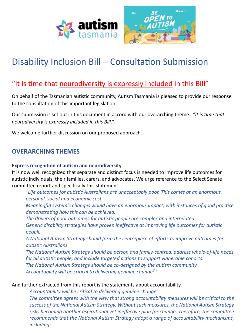 Disability Inclusion Bill Submission Cover